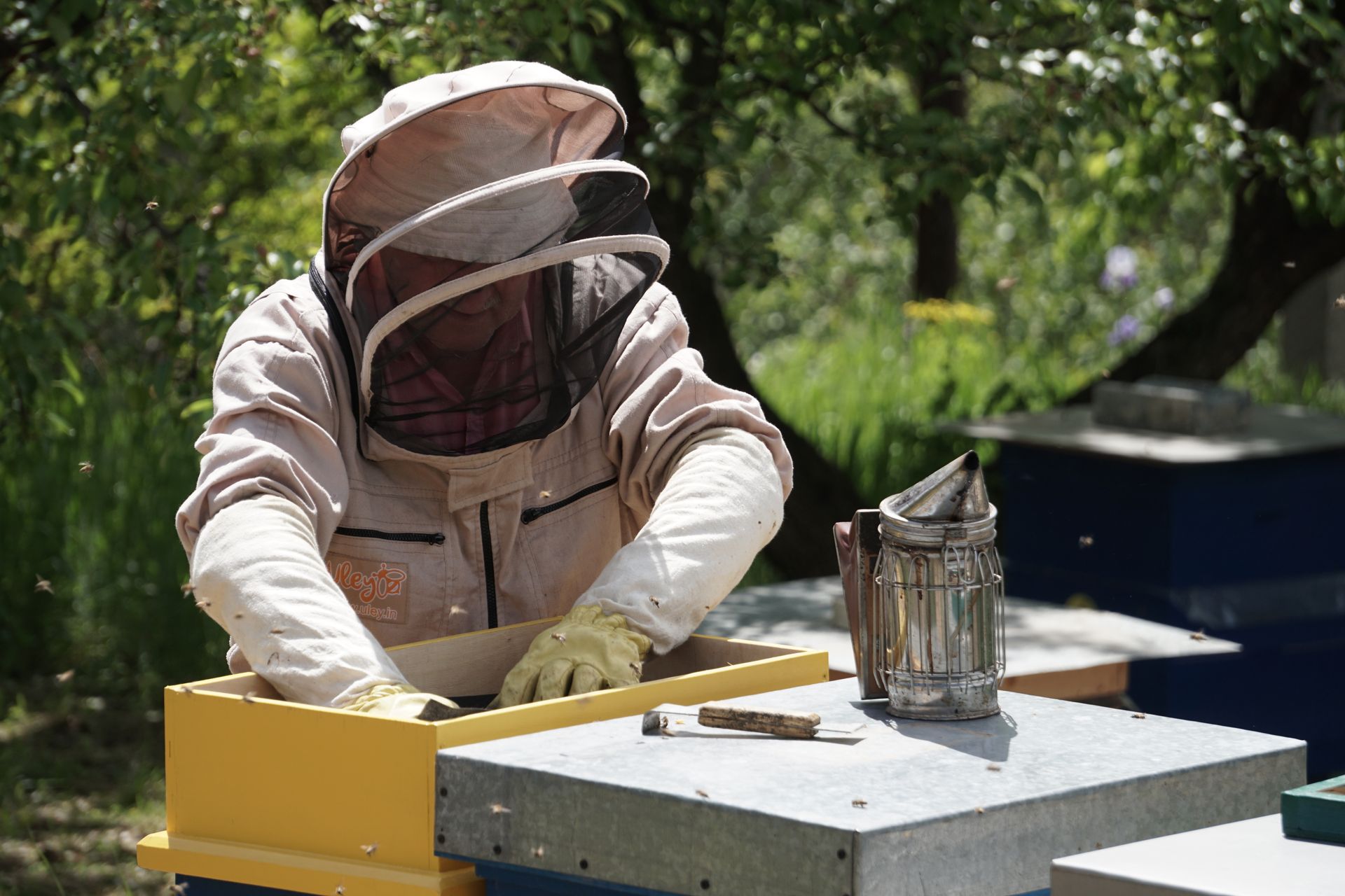 How the Right Beekeeping Supplies Can Grow Your Honey Business